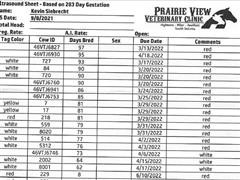 Calving Dates.JPG