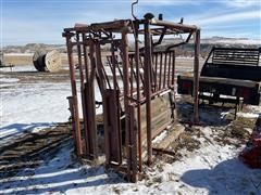 Livestock Processing Chute 