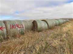 Wheat Hay Big Rounds 