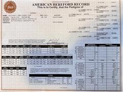 Bull334Pedigree.jpg