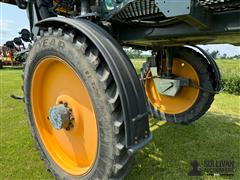 IMG_3849 4.JPG