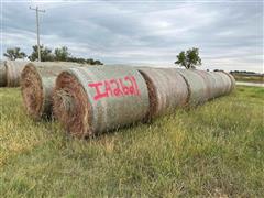 Prairie Hay 