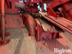 IMG_2182.jpeg