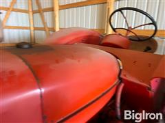 IMG_2195.jpeg
