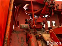 IMG_2180.jpeg