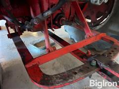 IMG_2184.jpeg
