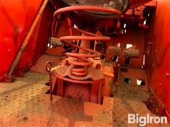 IMG_2178.jpeg