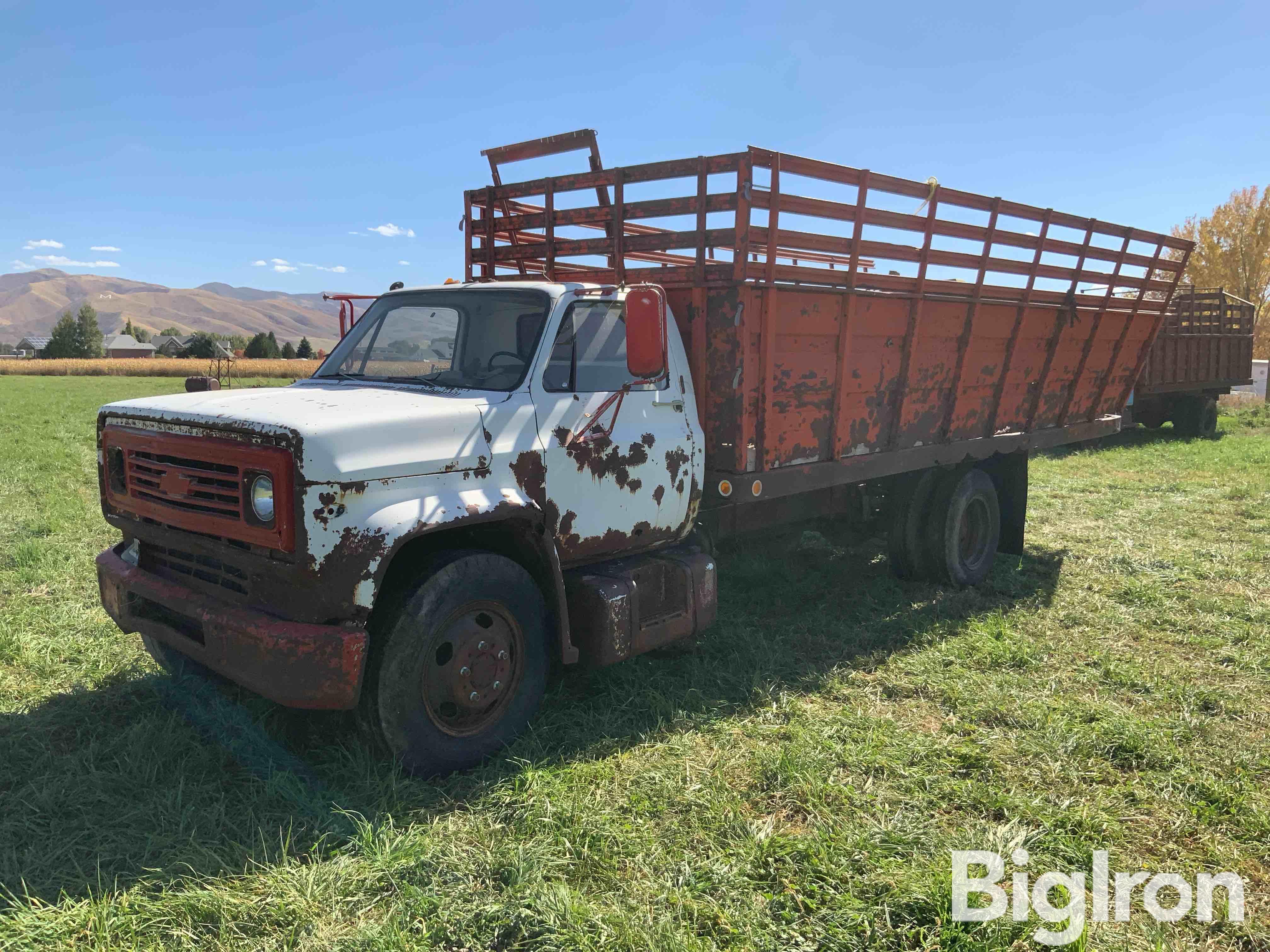 1973 Chevrolet Grain Truck 