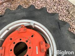 IMG_1217.jpeg