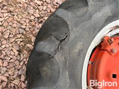 IMG_1223.jpeg