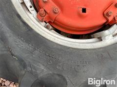 IMG_1222.jpeg