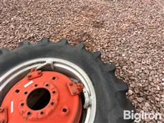 IMG_1227.jpeg