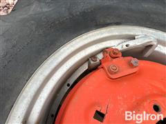 IMG_1216.jpeg