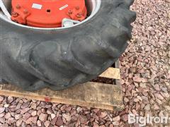 IMG_1220.jpeg