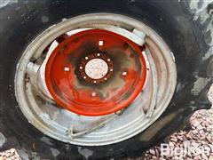 IMG_1186.jpeg