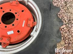 IMG_1218.jpeg