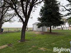 rear yard 2.JPG
