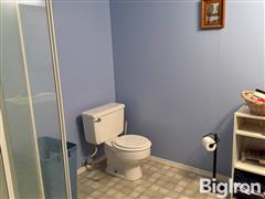 basement bath.JPG