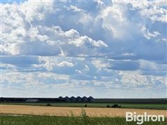 Resized_20230701_174142.jpeg