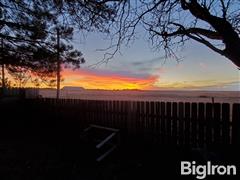 thumbnail_Resized_20211127_173540.jpg