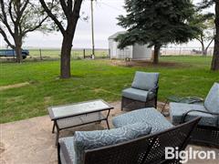 rear yard.JPG