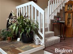 entry staircase.JPG