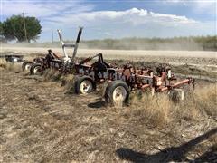 Lilliston 12R30 Cultivator/Ditcher 