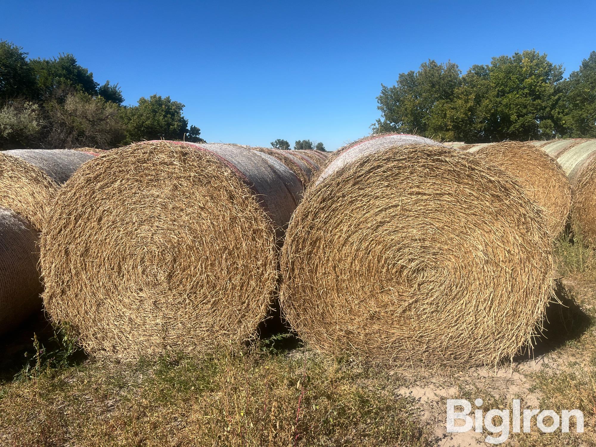 34) 2nd Cutting Alfalfa Bales (2024 Crop) (BID PER BALE) 