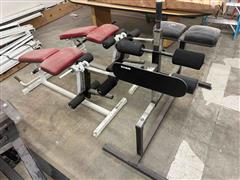 Workout Benches & Hamstring Machine 