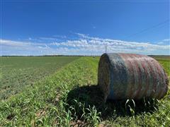 Round Bale 2 in Sudan Strip.jpg