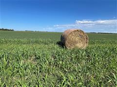 Round Bale in Sudan strip.jpg