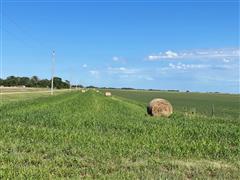 Round Bale 3 strip north of alfalfa.jpg