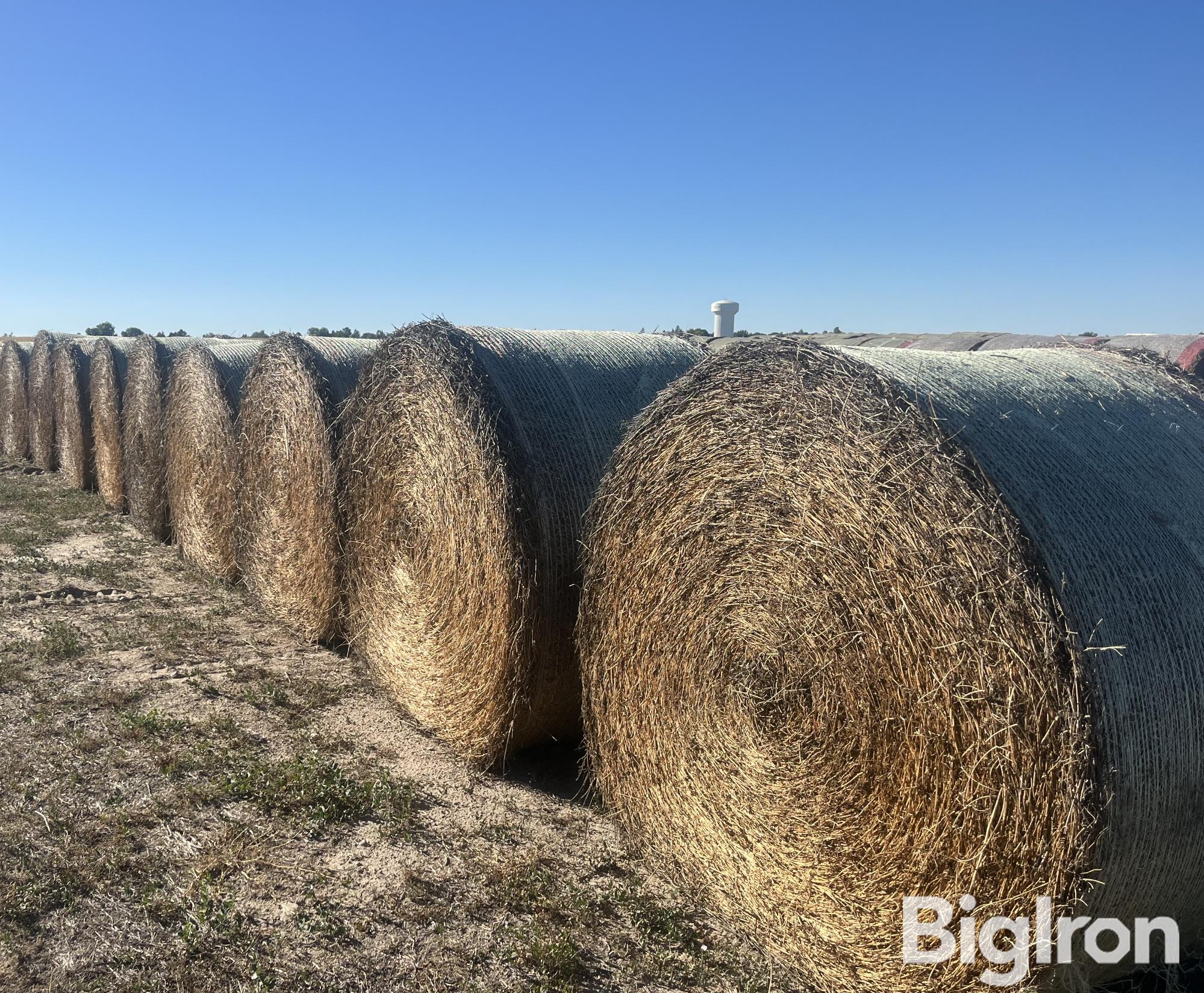 34) Alfalfa Hay Bales (3rd Cutting 2023 Crop) (BID PER BALE) 