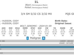 Bull 1L Pedigree.jpeg