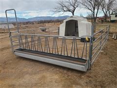 Calf Feeding Pen With Shed 