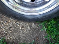 DSC09867.JPG