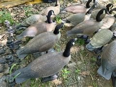 items/f4f237a24cfbec11b5cf0003fff934d4/bigfootgoosedecoys_49a90300a52f4490aeb147e4d5ce8c8e.jpg