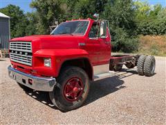 1983 Ford F800 S/A Cab & Chassis 