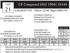 Lot 21 Pedigree.JPG