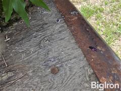 20250616_095038.jpg
