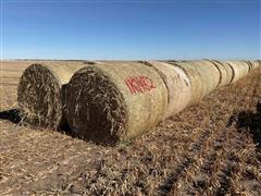 Millet (Forage) Hay Big Round Bales 