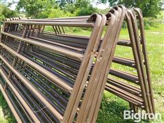 20250618_140811.jpg