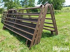 20250618_140638.jpg