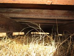 IMG_9504.JPG