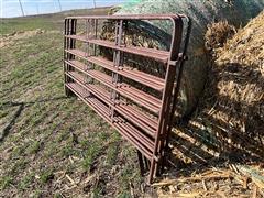 10' Cattle Panels 