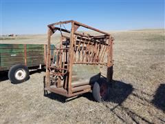 Cattle Working Chute On Trailer 