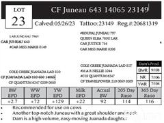 Lot 23 Pedigree.JPG