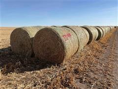 Millet (Forage) Hay Big Round Bales 