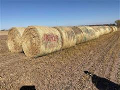 Millet (Forage) Hay Big Rounds 