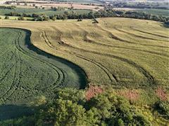 DJI_20240817190227_0108_D.JPG